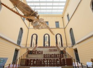 museu-nacional-reune-povos-quilombolas-no-esforco-de-reconstrucao